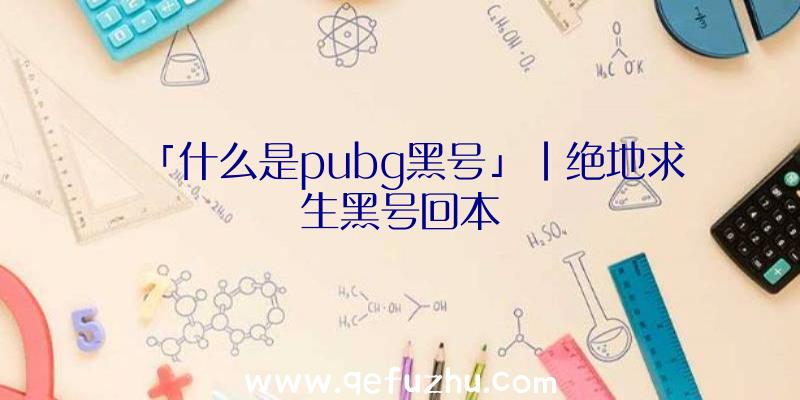 「什么是pubg黑号」|绝地求生黑号回本